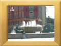 DSCN0701.jpg
