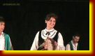 Laureana_sagra_del_pesce_0021.jpg